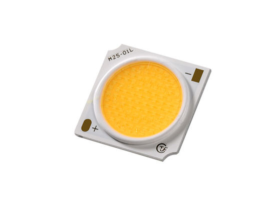 Chip LED impermeabile COB 30W per illuminazione a colori ANSI Standard